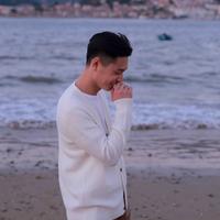 各地区陈冠希头像