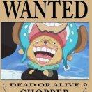 小胖媛的个人资料头像