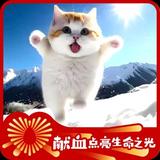 如果云知道6577头像