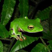 Hereiszjy的个人资料头像