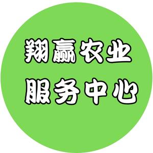 翔赢农业霞姐头像