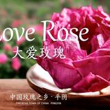 蓝妃玫瑰头像