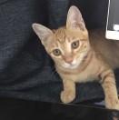 SilenceTo的个人资料头像