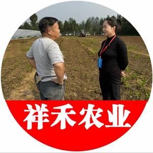 农业小仙女头像