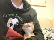 代号_9527的个人资料头像