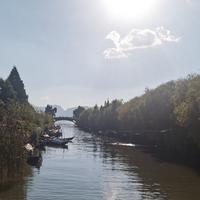 静待花开的静心头像