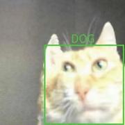 0xfa的个人资料头像