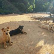 追风少年__77的个人资料头像