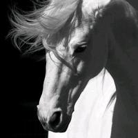 ☀烟火风云☀头像