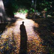 阳明862的个人资料头像