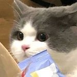 Ceonwa的个人资料头像