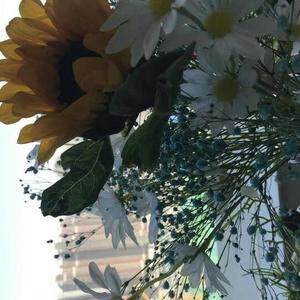 去看山⛰️头像