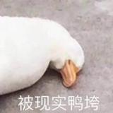 H苹果派头像