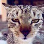 明哥我胸弟的个人资料头像