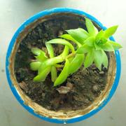 ano的个人资料头像