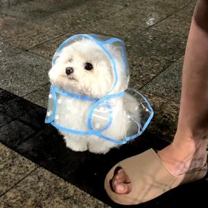 春的颜色不走进秋季头像