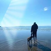 岁月无声留白的个人资料头像