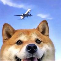 缤纷橙子PeS头像