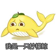 techcj的个人资料头像