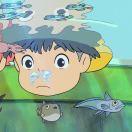 小狙配旗的个人资料头像