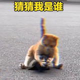 我很菜emId头像