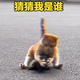 我很菜emId · 凯美瑞车主·车龄3年头像