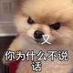我不是纯数字0523头像