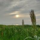 David2049的个人资料头像