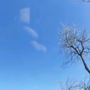 小雪记录生活头像