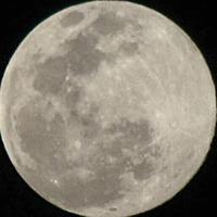 浓香型白开水头像