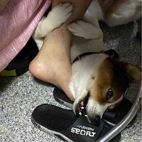 至尊宝出奇迹头像