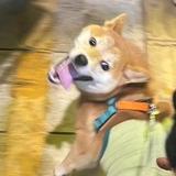 用户7600838178156头像