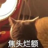 这盛世445头像