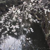 俊熙i708头像