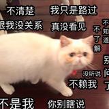 用户21257435头像