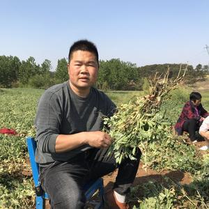 乡村小胡