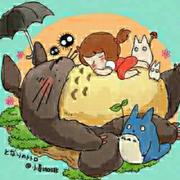 Cc56的个人资料头像