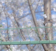 用户8170147516036的个人资料头像