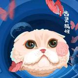 钛合云岛主头像