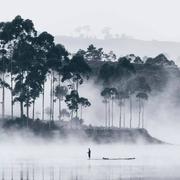 行熙的个人资料头像