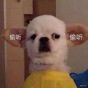 Niao的个人资料头像