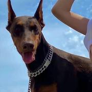 Spring145的个人资料头像