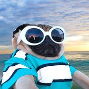 小杜_同学的个人资料头像