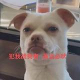 苏雅666头像