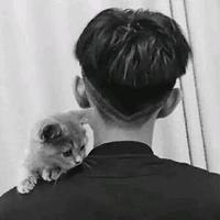 随遇而安238504448头像
