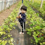 安梦的个人资料头像