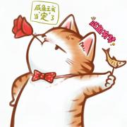 菜菜子园子的个人资料头像