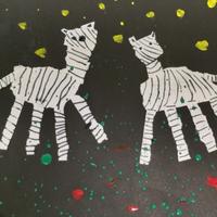 足迹安德森头像