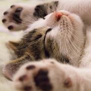 何需干戈的个人资料头像