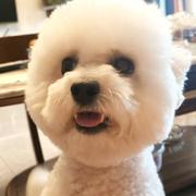 一管小笛的个人资料头像